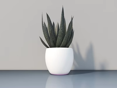 Minimalist Potted Succulent Plant With White Pot And Long Green Speckled Leaves On Blue Tabletop 3d model