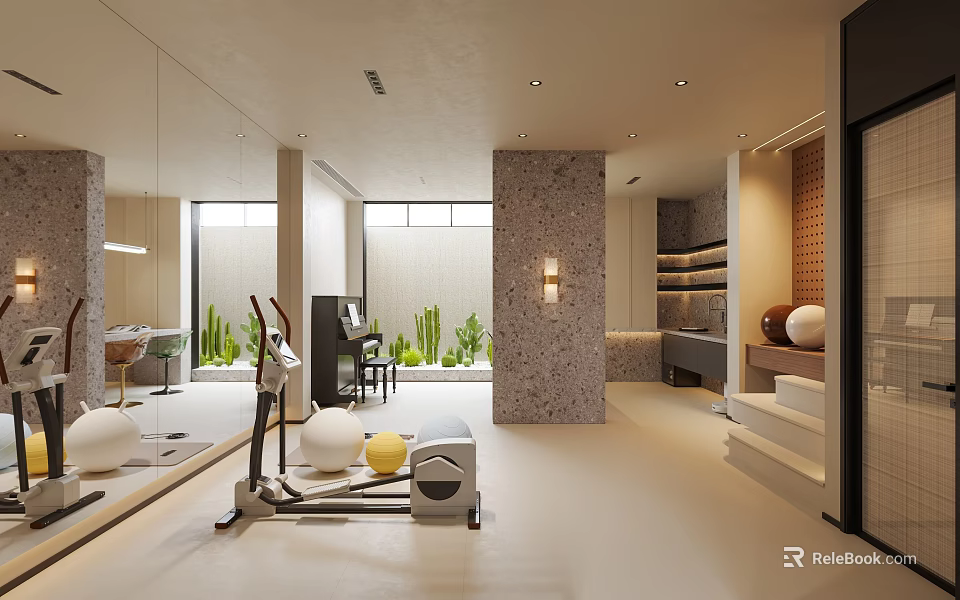 Modern Basement Home Gym Interior With Fitness Equipment Plants And Mirrors 3d model 