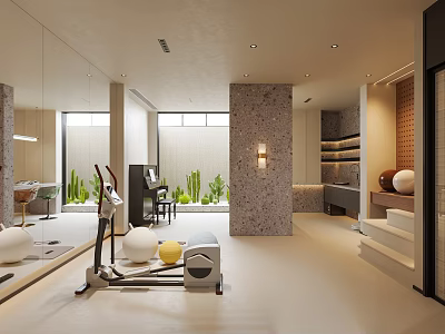 Modern Basement Home Gym Interior With Fitness Equipment Plants And Mirrors 3d model
