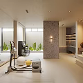 Modern Basement Home Gym Interior With Fitness Equipment Plants And Mirrors