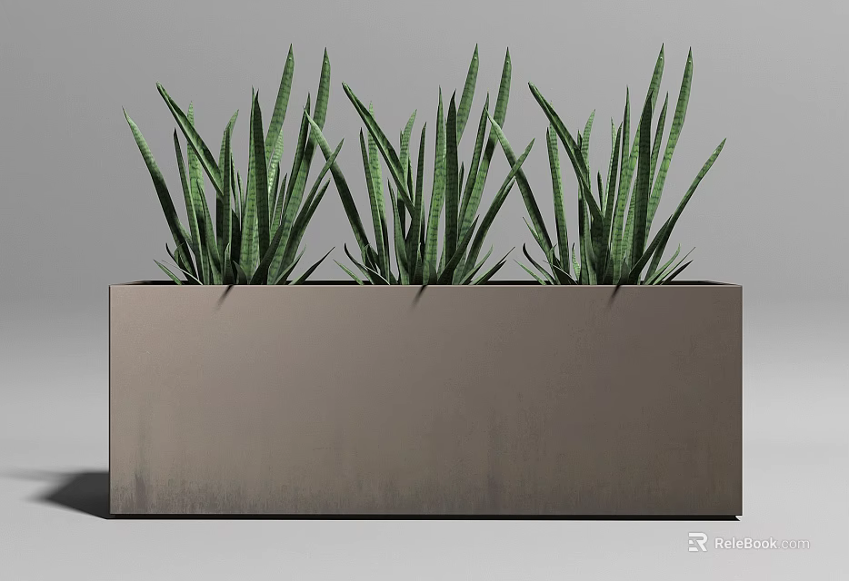 Bonsai Potted Plant In Rectangular Gray Planter With Green Long Leaves 3d model