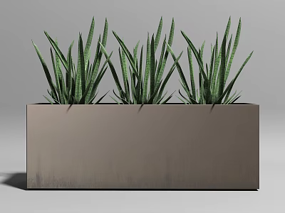 Bonsai Potted Plant In Rectangular Gray Planter With Green Long Leaves 3d model
