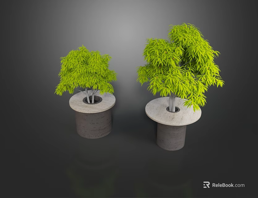 Two Green Bonsai Potted Plants with Lush Foliage on Concrete Cylindrical Bases 3d model 