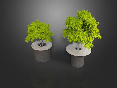 Two Green Bonsai Potted Plants with Lush Foliage on Concrete Cylindrical Bases 3d model