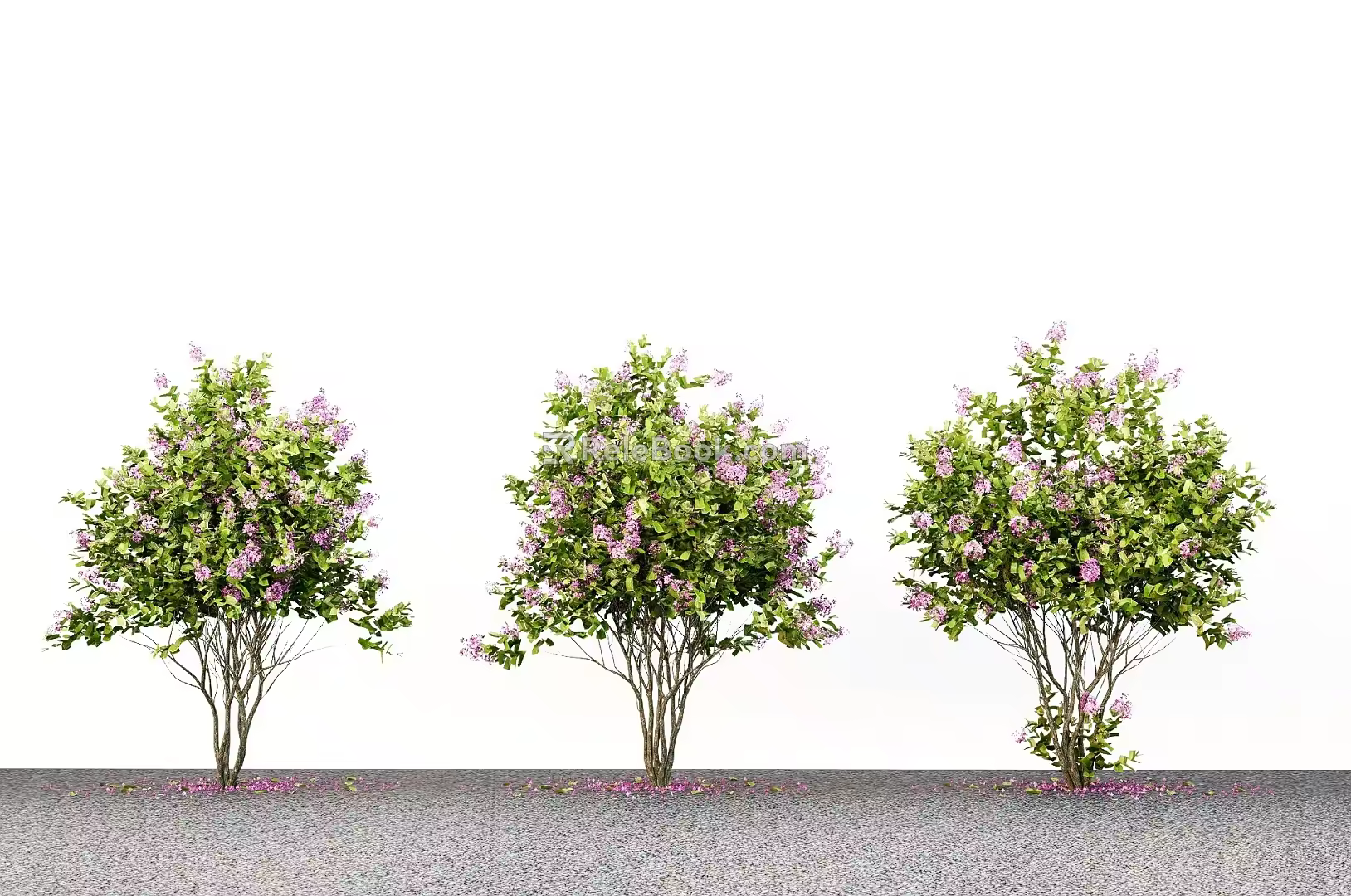 Modern Landscape Trees Courtyard Trees Street Trees Landscaping Trees 3d model