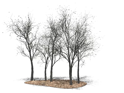 Group of Leafless Trees With Bare Trunks And Ground Mulch In Landscape 3d model