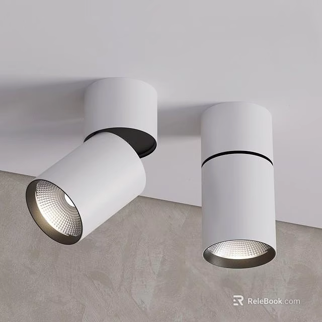 Modern White Downlights Spotlights Ceiling Mounted Lighting Fixtures With Bright Illumination 3d model 