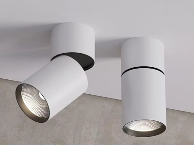 Modern White Downlights Spotlights Ceiling Mounted Lighting Fixtures With Bright Illumination 3d model