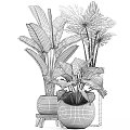 Large Leaf Indoor Potted Plants With Decorative Ceramic Pots For Home Interior Design