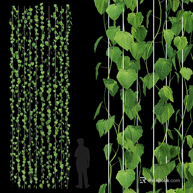 Lush Vertical Green Plant Wall With Hanging Vines Climbing Plants And Fresh Green Leaves 3d model 