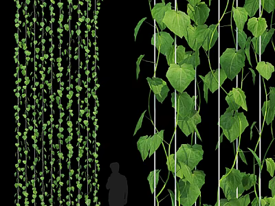 Lush Vertical Green Plant Wall With Hanging Vines Climbing Plants And Fresh Green Leaves 3d model