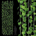 Lush Vertical Green Plant Wall With Hanging Vines Climbing Plants And Fresh Green Leaves