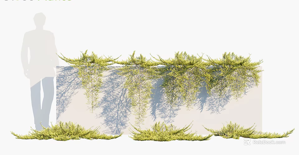 Lush Climbing Vines With Green Hanging Leaves On White Wall And Soft Shadows 3d model 