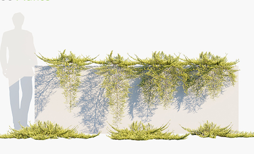 Modern Vine Trees 3d model