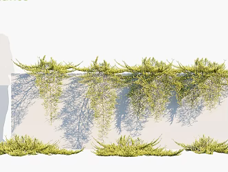 Modern Vine Trees 3d model
