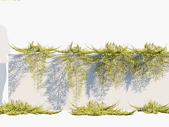 Modern Vine Trees 3d model