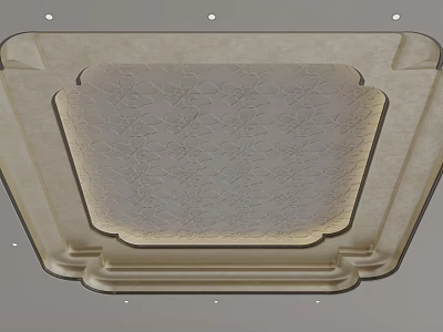 Elegant Decorative Ceiling Design With Intricate Floral Patterns And Recessed Lighting 3d model