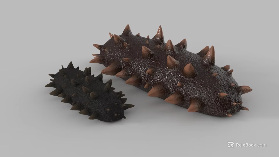 Two Different Sizes Sea Cucumbers With Spiky Surface In Dark Brown And Black 3d model 
