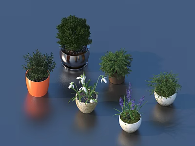 Various Bonsai Potted Plants With Colorful Ceramic Pots And Green Foliage 3d model