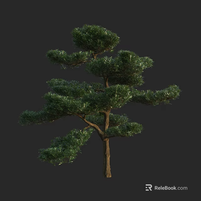 Elegant Arbor With Lush Green Foliage And Graceful Branches For Landscape Design 3d model 