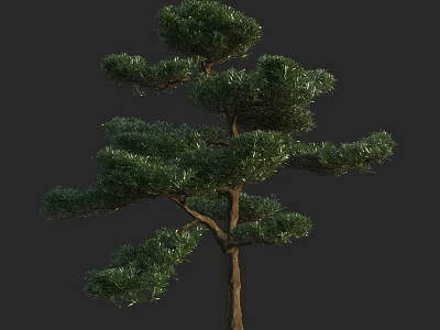 Elegant Arbor With Lush Green Foliage And Graceful Branches For Landscape Design 3d model