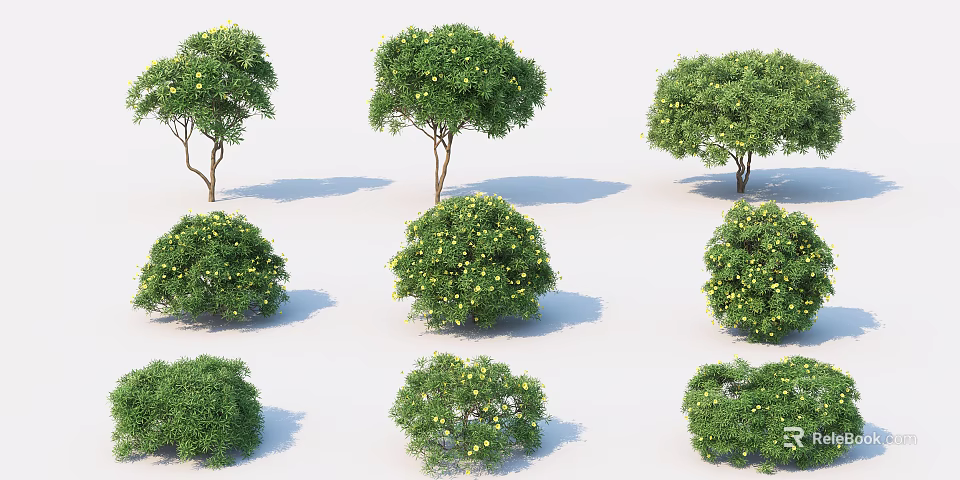 Various Green Shrubs With Yellow Flowers For Garden Landscaping Projects 3d model 