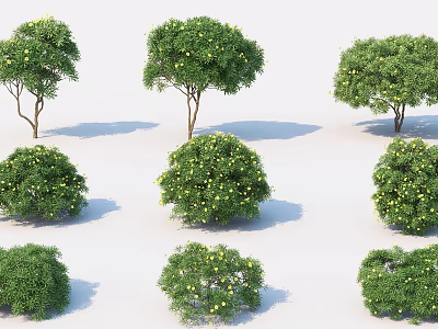 modern shrub small tree 3d model modern shrub small tree 3d model