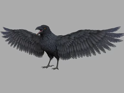 Detailed Black Crow with Spread Wings and Open Beak on Gray Background 3d model
