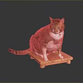 Orange And White Cat Sitting On Wooden Platform With Reflection 3d model