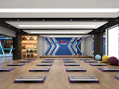 Well Equipped Fitness Gym Interior With Step Platforms Colored Exercise Balls And Wooden Flooring 3d model