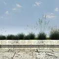 Tall and Short Grasses in Rectangular Stone Planter with Blue Sky and Paved Ground 3d model