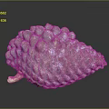 Natural Pine Cone With Pinkish Gray And Blue Bumpy Textured Surface And Scaly Details