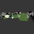 Diverse Collection of Ornamental Grasses and Flowers with Various Shapes and Textures