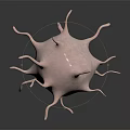 Detailed Microscopic Organ Structure With Hair Like Projections On Dark Background