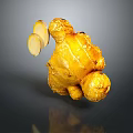 Whole Fresh Ginger Root With Sliced Pieces On Gray Background