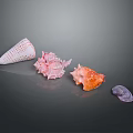 Marine Shellfish With Colorful Pink Orange Purple Shells In Various Shapes On Gray Background