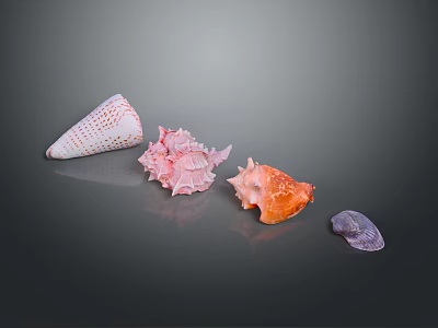 Marine Shellfish With Colorful Pink Orange Purple Shells In Various Shapes On Gray Background 3d model