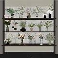 Various Flowers In Glass Ceramic Vases On Multi Layered Shelves For Interior Decoration