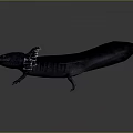 Axolotl Aquatic Creature With External Gills Sleek Body And Flat Tail