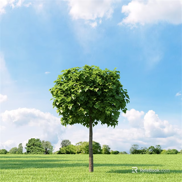Lush Green Arbor With Dense Foliage Under Blue Sky And White Clouds 3d model 