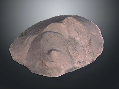Earthy Toned Handmade Clay Piece With Detailed Wheat Pattern And Textured Surface 3d model