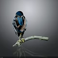 Vibrant Bird With Blue Head Light Blue Body Pink Chest Yellow Feet On Green Branch