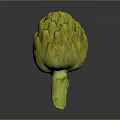Fresh Artichoke with yellow green scales and a green stem on a dark smooth background