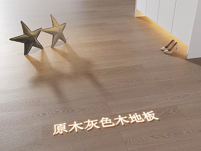 Original Wood Gray Wooden Floor With Stars And Shoes In Room 3d model