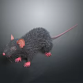 Game And Movie Character Black Rat With Pink Ears Pink Paws And Long Tail