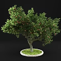 Lush Fruit Tree With Red Fruits Green Leaves Thick Trunk And Green Grass