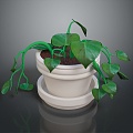 Potted Indoor Plant Green Plant Indoor Bonsai Bonsai Flower Wild Flower Flower Plant Realistic 3d model