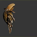 Brownish Crab With Orange Claws On Smooth Black Surface And Reflection
