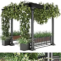 Bonsai Potted Plants in Garden Pavilion with Black Pillars Wooden Bench Green Vines White Flowers