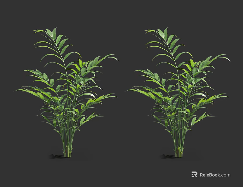 Green Leafy Bamboo Plants With Lush Foliage And Healthy Growth 3d model 